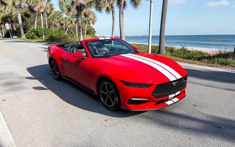 Seasonal and long-term car rental options from MOOV Rentals in South Florida